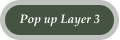 Pop up Layer 3
